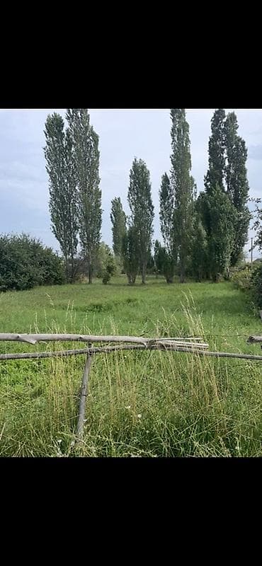 Жер тилкелери: 4 соток, Бизнес үчүн, Кызыл китеп — 3