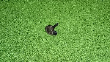 Датчик уровня масла Е39 е53 е65 е36 Е38 Год 2002 В отличном