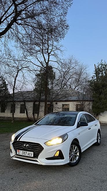 каврик: Hyundai Sonata: 2018 г., 2 л, Автомат, Газ, Седан — 9