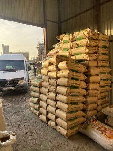 семена огурцов для теплицы в бишкеке: Беде урук оптом 7 Обласка салып жоробуз ишенимду таза кепилдик бар — 2