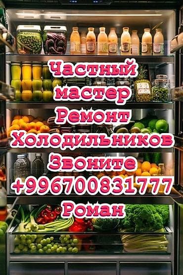 Сломался холодильник? Продукты могут испортиться? Не паникуйте! Приеду