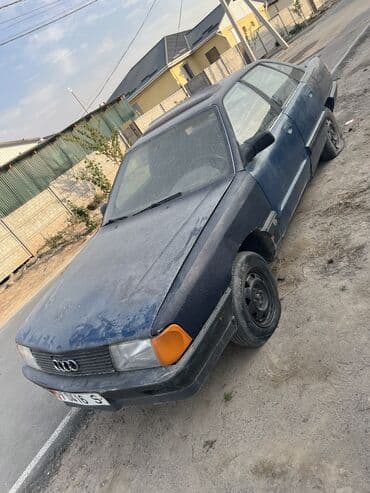 продам бу оборудование для птицефабрики: Продаю | Корова (самка) | Для разведения | Нетель — 5