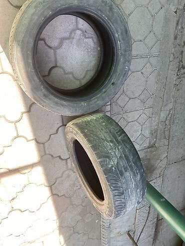 r19: Шины 215 / 55 / R 16, Лето, Б/у, Пара, Легковые, Корея, Kumho — 4