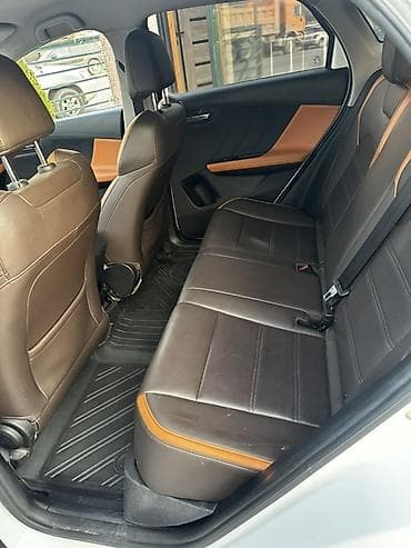 tesla 3: BYD — салон автомобиля (интерьер, комплектация) - Цветовая схема — 3