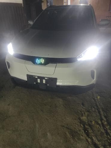 ист 2008: Weltmeister EX5, 2021 г., Передний, В наличии — 10