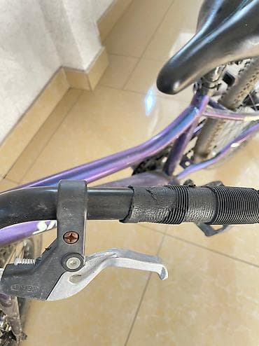 Балдардын гигиенасы жана камкордук: Балдар үчүн велосипед, 2 дөңгөлөктүү, 4 - 6 жаш, Бала үчүн, Колдонулган — 4