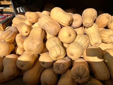 Сорт МАТИЛЬДА - Форма: грушевидная, с небольшим семенным гнездом —