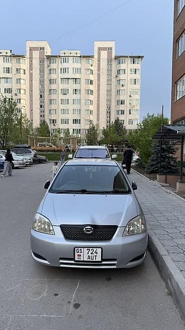 tesla 3: Toyota Allex: 2003 г., 1.5 л, Автомат, Бензин, Хэтчбэк — 4