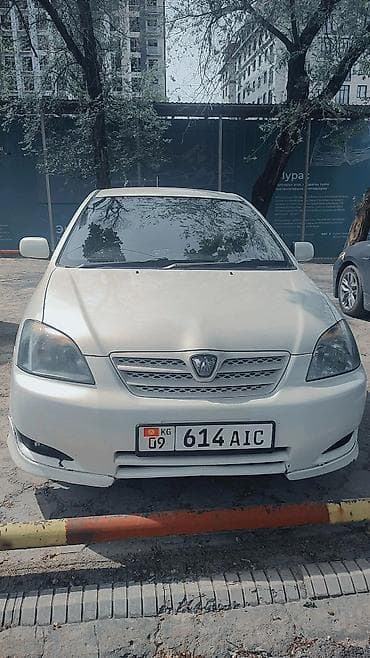 Toyota Allex: 2003 г., 1.5 л, Автомат, Бензин, Хэтчбэк