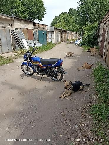 Транспорт: Классикалык Honda, 100 куб. см, Бензин, Чоңдор үчүн, Колдонулган — 1