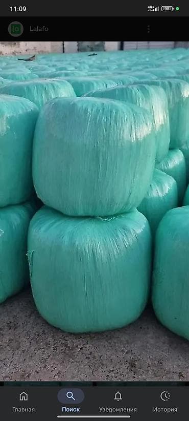 ветеринар каракол: Сенаж — 1