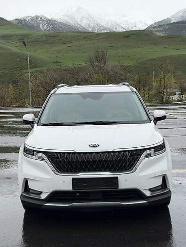 Kia Carnival: 2020 г., 2.2 л, Автомат, Дизель, Минивэн