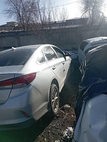 Hyundai Sonata: 2019 г.