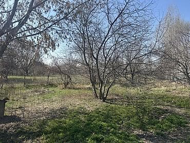 мин булак: Жилой дом с участком. Село Каирма - Одноэтажный дом/ двускатная — 5