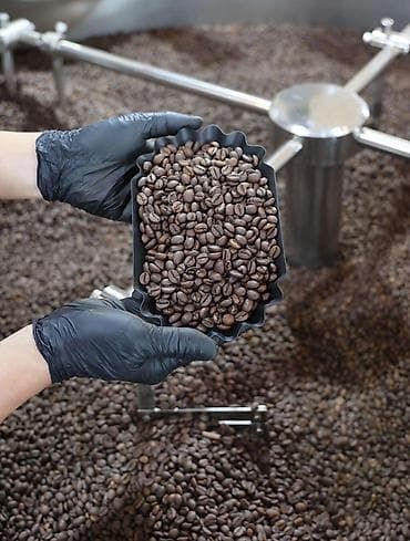 вьетнамские: Вьетнамский кофе премиум качества — оптом в Бишкек и страны СНГ. V — 2