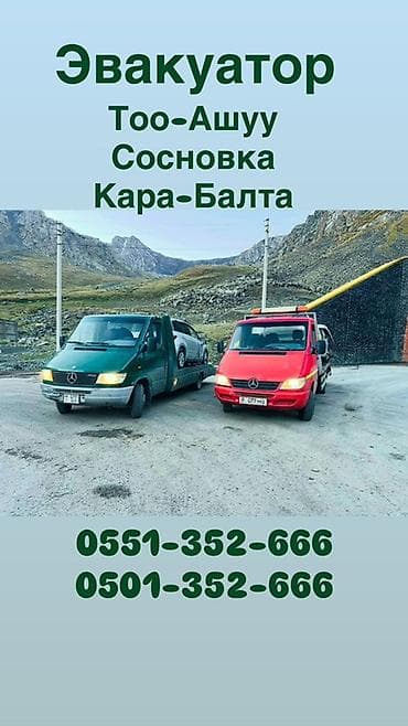 чистка дымохода кара балта: С лебедкой, С манипулятором, Со сдвижной платформой — 2