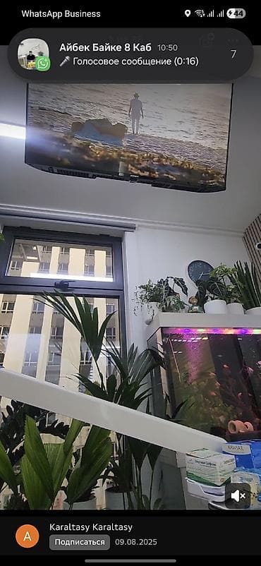 детский хирург бишкек: Врачи | Стоматолог — 8