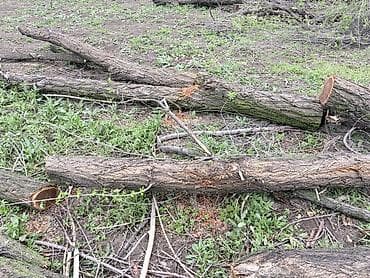 купить клюкву: Дрова — 3