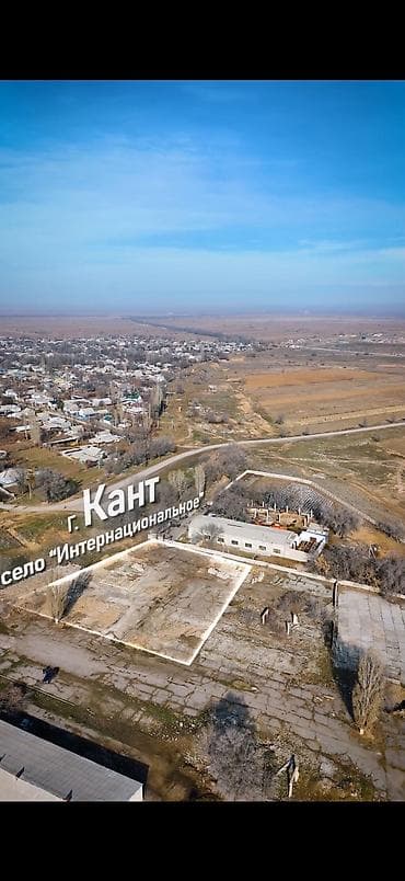 суточный квартира бишкек аламедин 1: 40 соток, Для бизнеса, Красная книга, Договор купли-продажи — 8