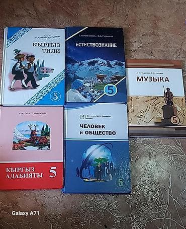 Кыргызский язык, 5 класс, Б/у, Платная доставка