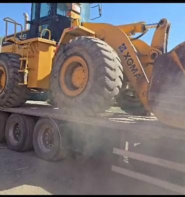 daf xf 95: Погрузчик, 2019 г., Колесный, Фронтальный — 4