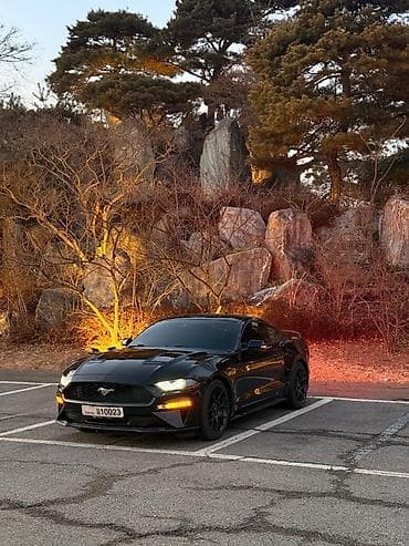 lexus es 2004: Ford Mustang: 2021 г., Автомат, Бензин, Фастбек — 3