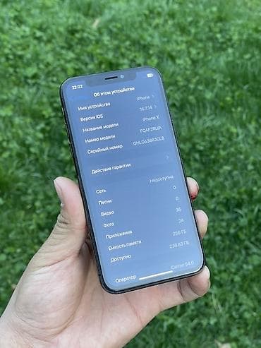 ipod touch: IPhone X, Б/у, 256 ГБ, Черный, Защитное стекло, Чехол, 100 % — 9