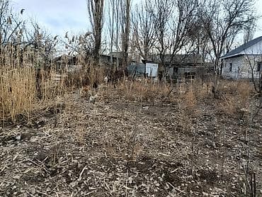 сдаю дом аламидин 1: Дом, 40 м², 3 комнаты — 2