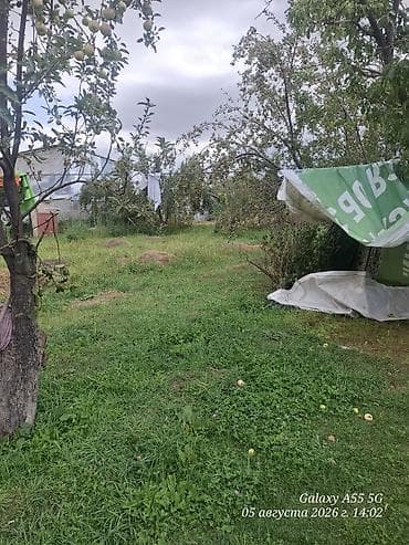 Кыймылсыз мүлк: 7 соток, Айыл чарба үчүн — 1