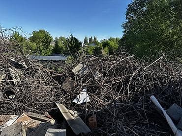 меняю на скот: Дрова Самовывоз — 3