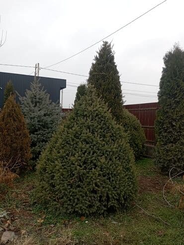 ароматные палочки: Декор для дома и сада — 2