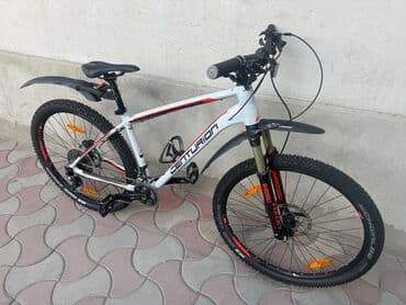 купить трехколесный электровелосипед для взрослых бу: Из Германии — 2