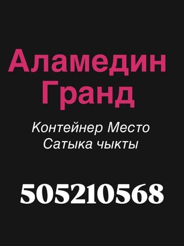 Аламедин Базар ТЦ Гранд Продаётся Контейнер.Все подробности по