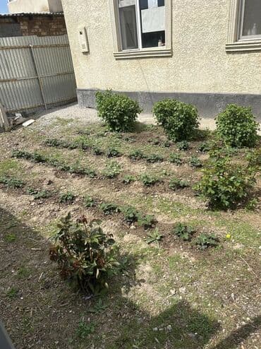 жилой дом жалалабад: 110 м², 3 комнаты, Теплый пол, Бронированные двери, Забор, огорожен — 3