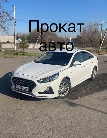 2500: Аренда авто 3айдан ойдо 20.000залог кунуно 1800 2выходной 1айда жашы — 5