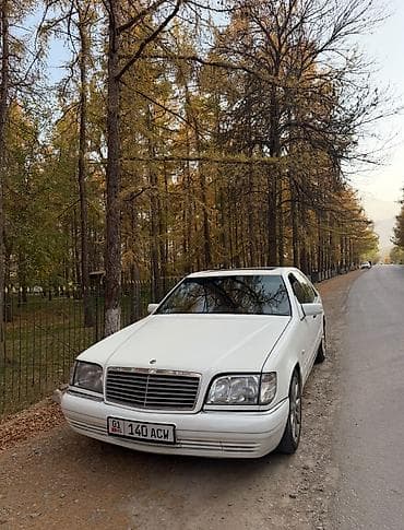 кабан: Mercedes-Benz S-Class: 1993 г., Автомат, Бензин — 1