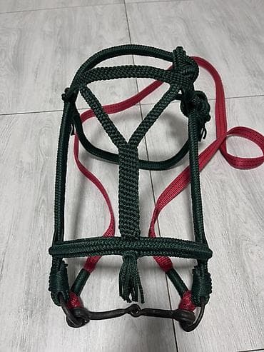 аренда лошадей: Продаю | Жеребец | Конный спорт — 5