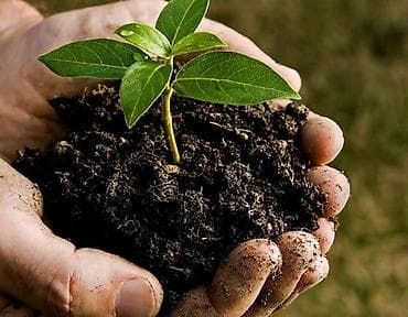 фураж картошка: Плодородный грунт/компост для сада и огорода - Состав: органический — 1