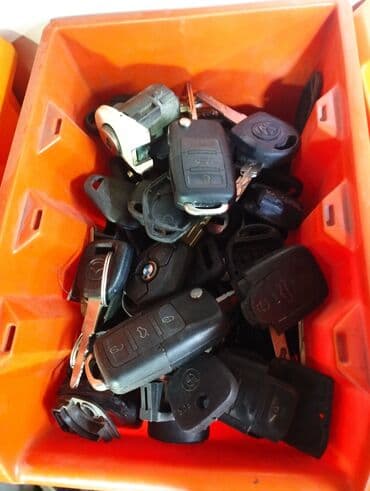 Бала бакчалар, бала багуучулар: Компьютердик диагностика, Автоунаа системаларын жөнгө салуу, адаптациялоо, баруу менен — 13