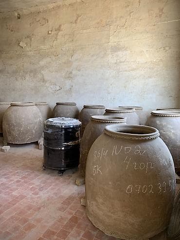 бак алам: Мангал Классикалык, Акылуу жеткирүү — 6