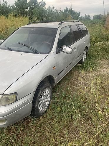 renault master: Nissan Primera: 1999 г., Механика, Бензин, Универсал — 2