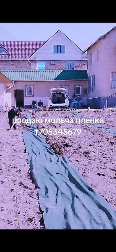 Тип пленки