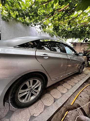 реки: Hyundai Sonata: 2010 г., Автомат, Газ, Седан — 3