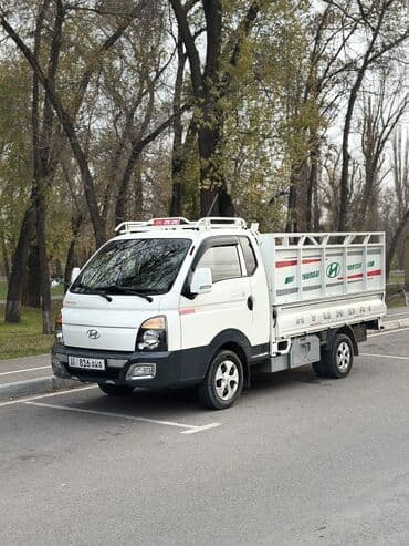 сплинтер бортовой: Легкий грузовик, Hyundai, Стандарт, Новый — 3