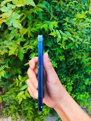 ipone 16: IPhone 12, Б/у, 64 ГБ, Синий, 100 % — 5