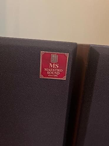 Усилители звука: Колонки Maestro Sound авторский проект цена 20000,колонки — 9