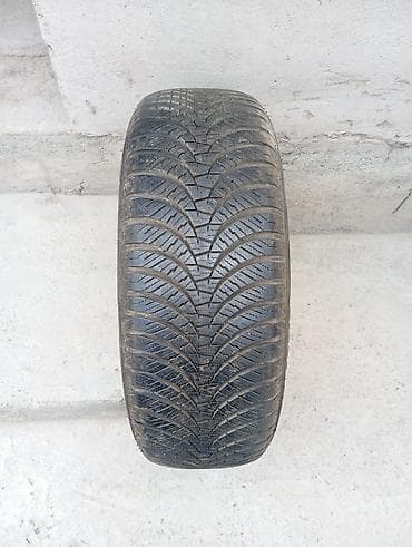 16 c: Шины 215 / 60 / R 16, Всесезонная, Б/у, 1 шт, Легковые, Польша, GoodYear — 1