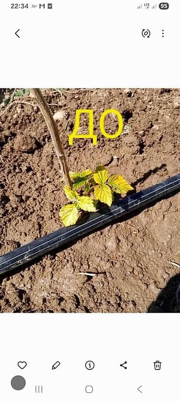 Ремонт под ключ: Универсальные услуги для дома, участка и стройки. Виды работ: - — 4