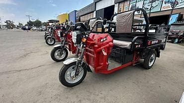 e 303: Грузовой трицикл (мототранспорт с задней грузовой платформой) - — 1