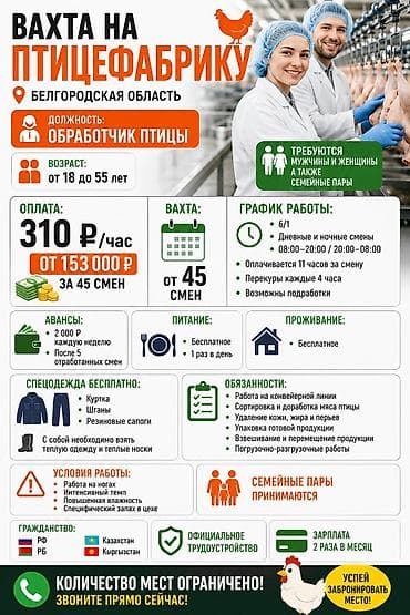 Требуется Упаковщик, Оплата: Еженедельно, Дважды в месяц, Без опыта